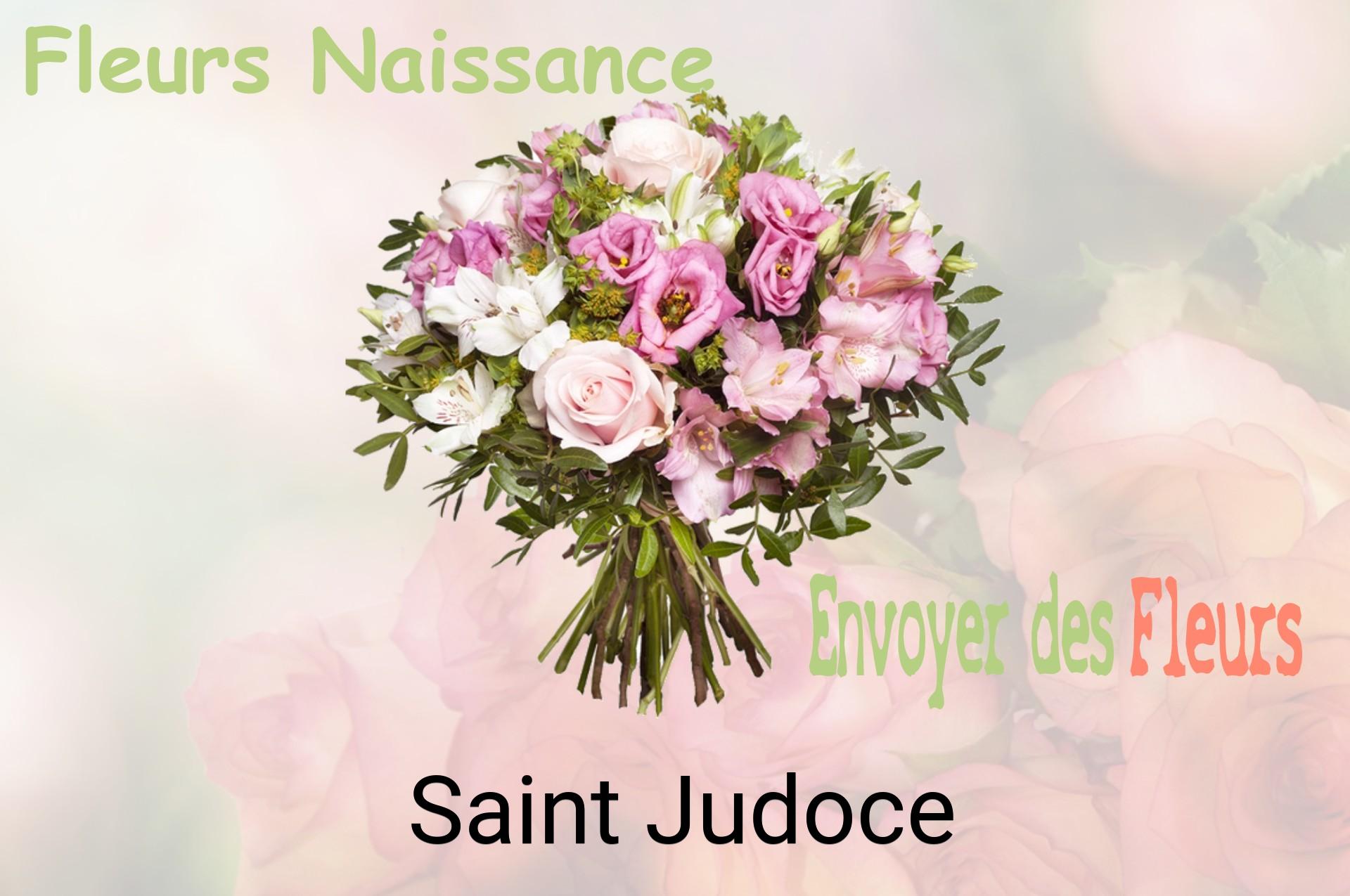 Bouquet de fleurs de naissance livré à Saint-Judoce