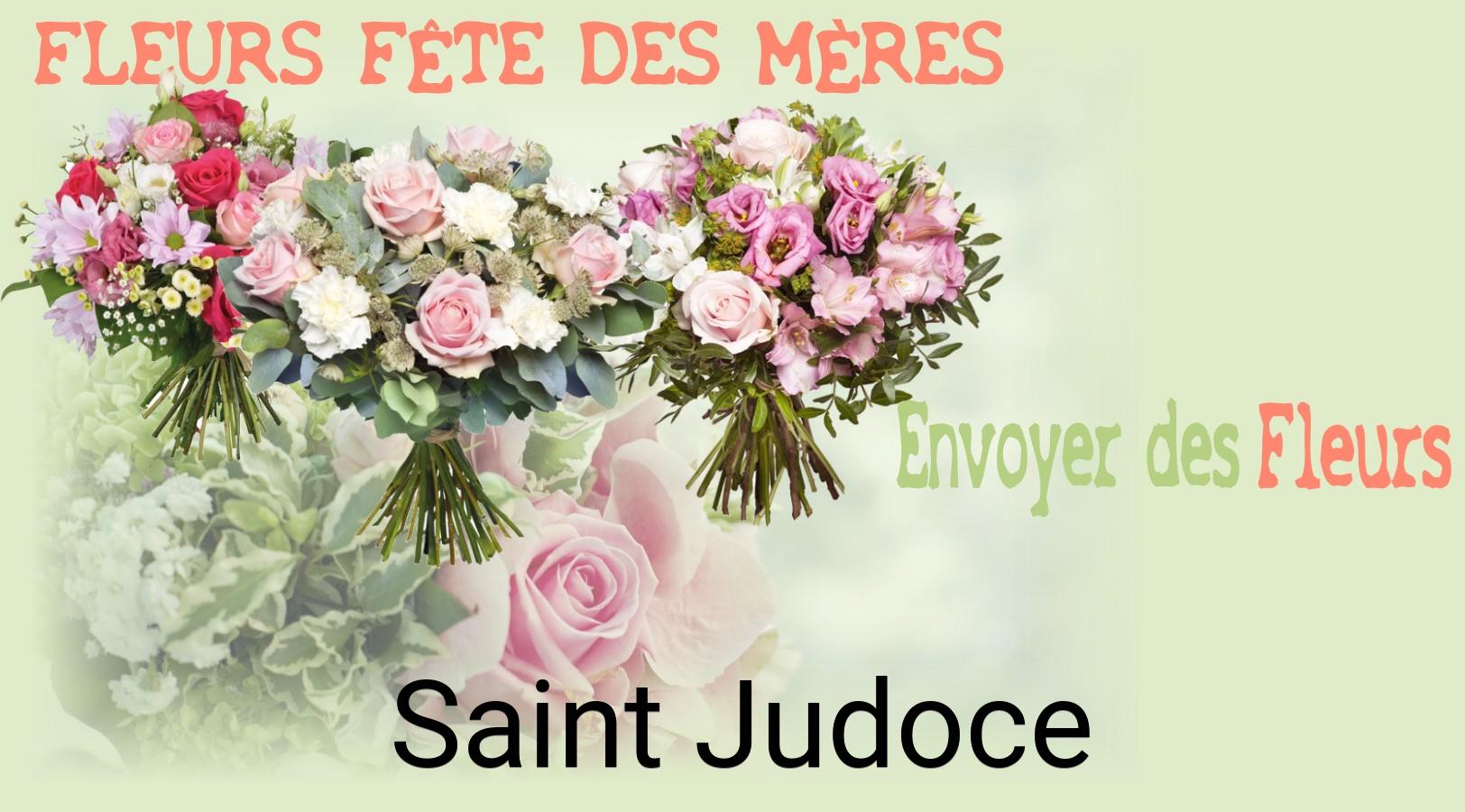 Bouquet de Fête des Mères livré à Saint-Judoce